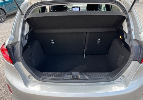 fiesta 1100 benzina titanium 5 porte