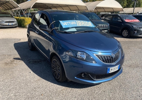 ypsilon ibrida gold 