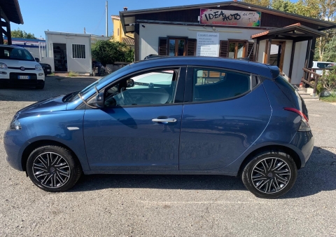 ypsilon ibrida gold 