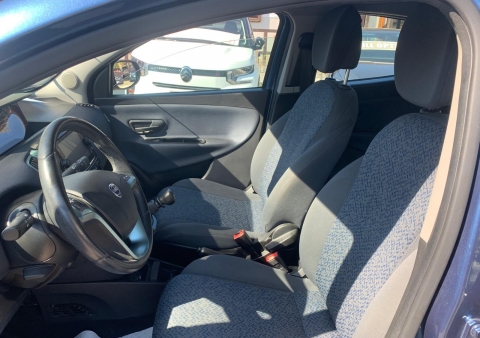 ypsilon ibrida gold 