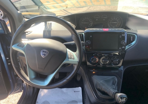 ypsilon ibrida gold 