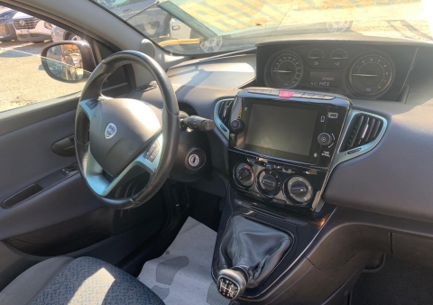ypsilon ibrida gold 