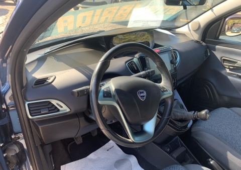ypsilon ibrida gold 