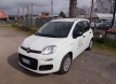 Fiat NOLEGGIO NUOVA PANDA IBRIDA 5 POSTI 