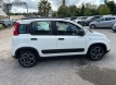 Fiat panda 12 city life easy power gpl 