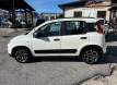 Fiat panda 1000 hybrid city life