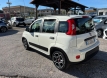 Fiat panda 1000 hybrid city life